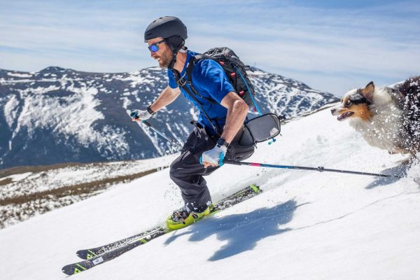 Skier avec son chien en toute sécurité.