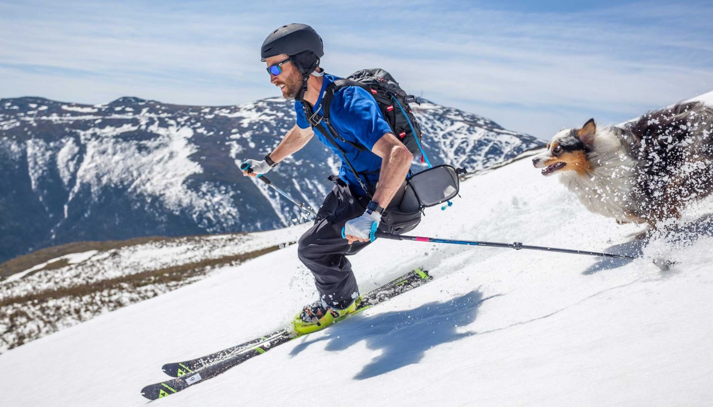 Skier avec son chien en toute sécurité.