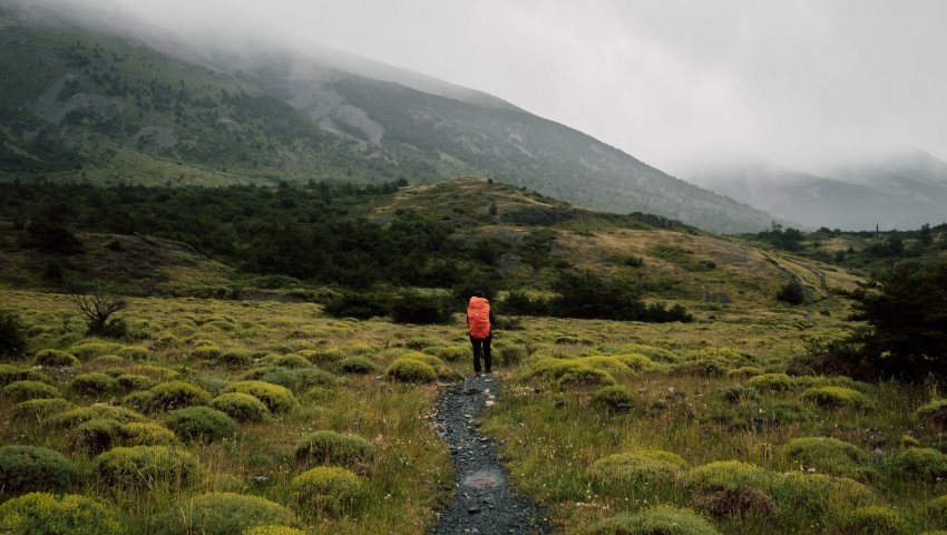 Un backpacker de dos sur un sentier