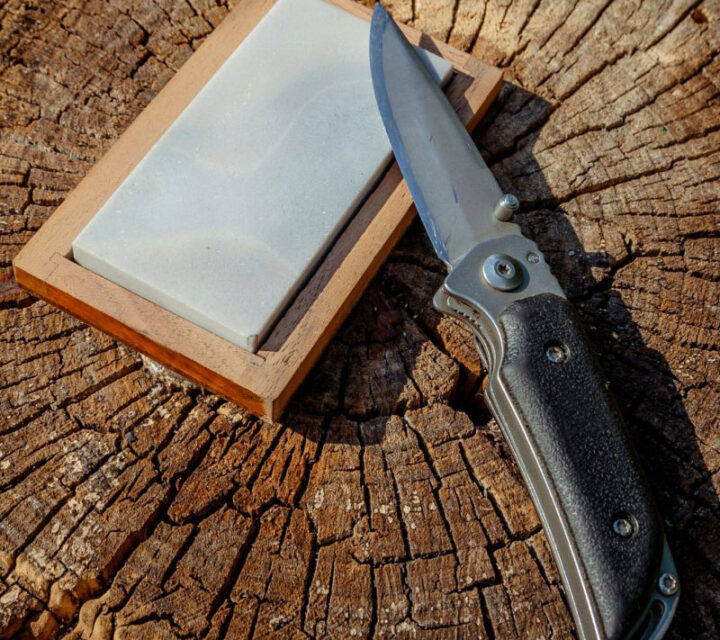 Un couteau de poche posé sur une pierre à aiguiser sur une souche d'arbre.
