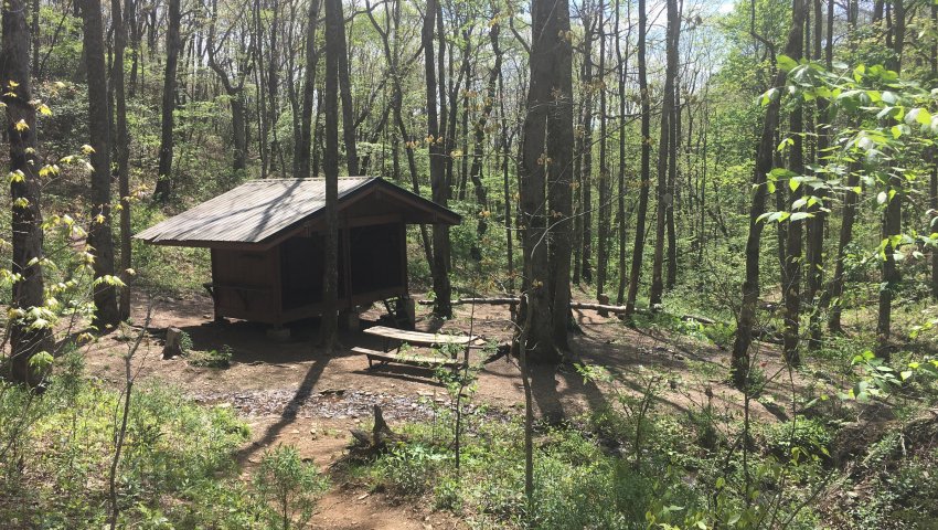 Un petit refuge au milieu des bois