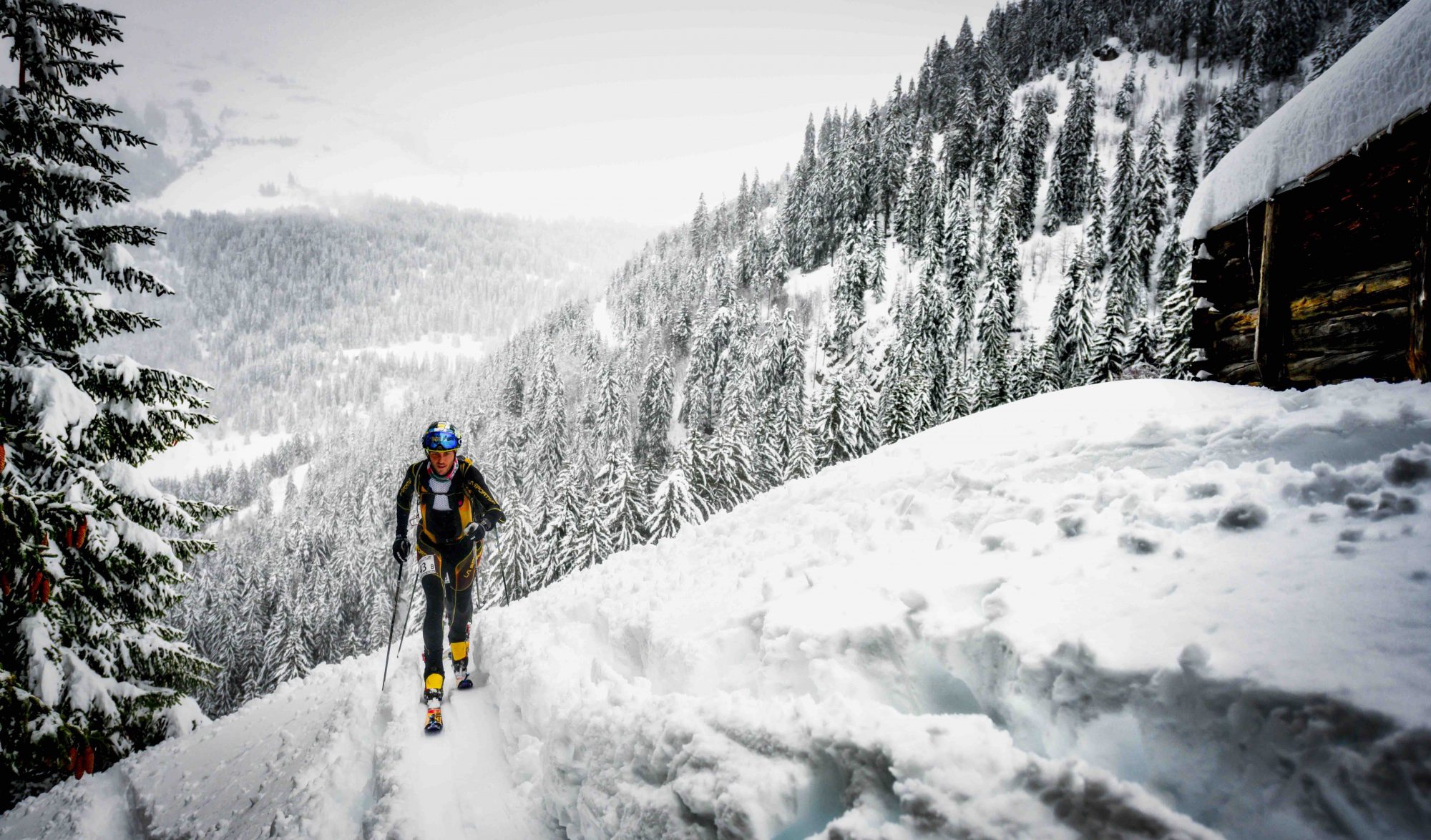 Ludovic Pommeret et ski