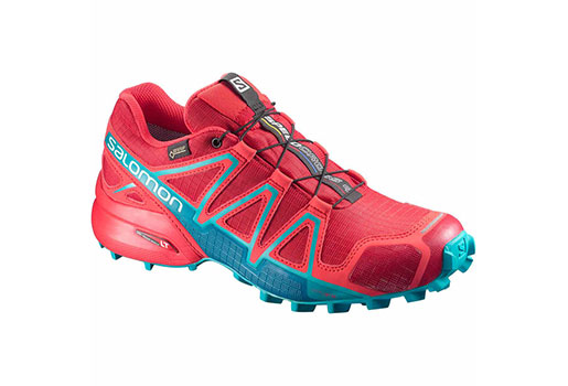 Salomon-Speedcross-4-GTX-W