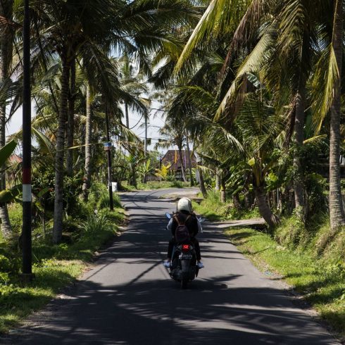 un scooter sur une route à Bali