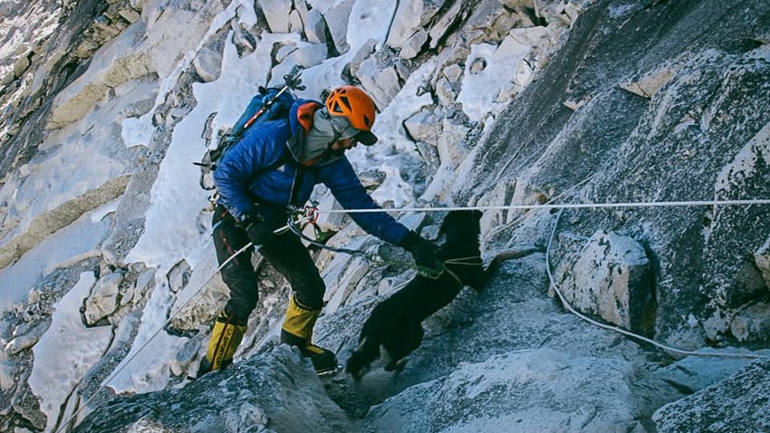 Le chien Mera sur une paroi rocheuse assuré par un alpiniste