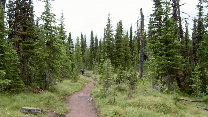 Carthew-Alderson Trail au Canada