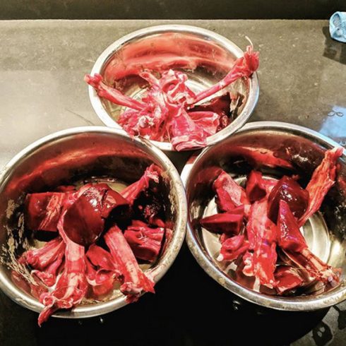 Régime alimentaire de viande crue pour les chiens