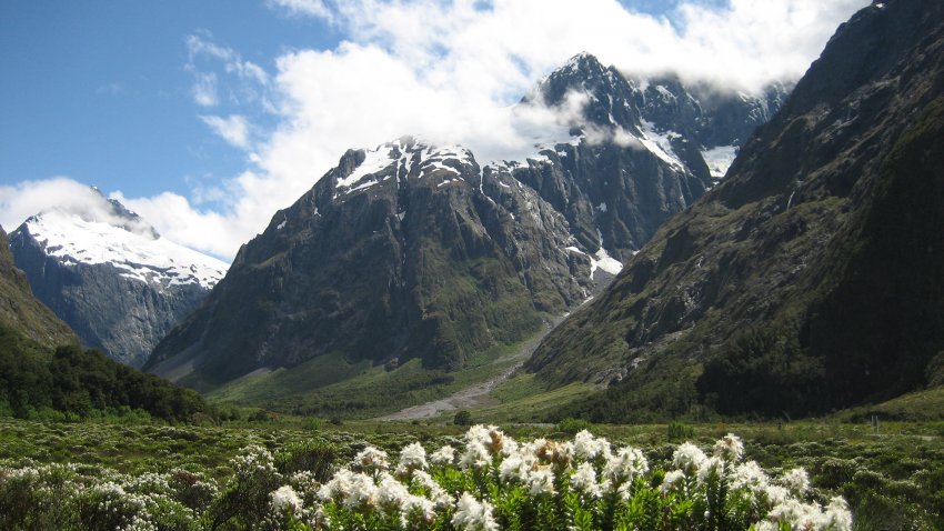 Le parc national du Fordland