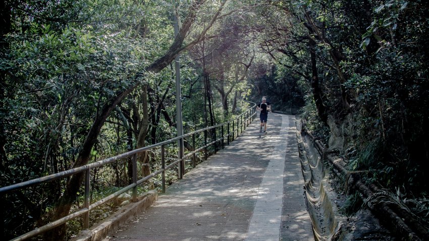 Hong Kong Trail