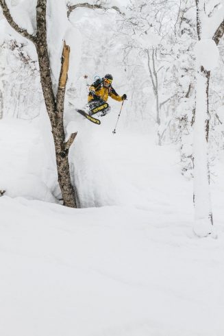 Un skieur dans la poudreuse de la forêt japonaise