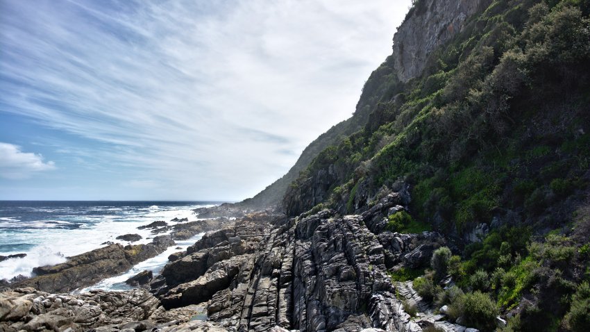Otter trail en Afrique du Sud