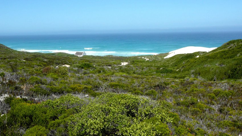 Rando et trek sur le Whale Trail, Afrique du Sud