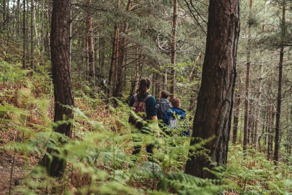 Randonnée dans la forêt de Rambouillet avec Helloway, mai 2019