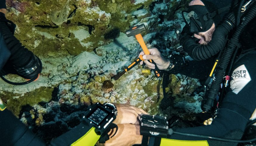 La photo du record, à plus de 170 mètres de profondeur.