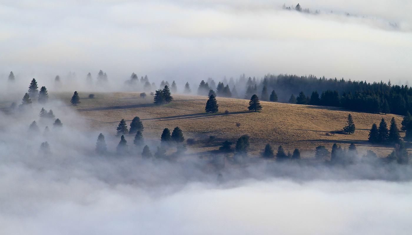 brouillard plaine