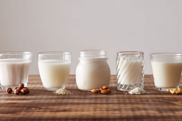 Lait végétal et animal, leurs bénéfices et propriétés