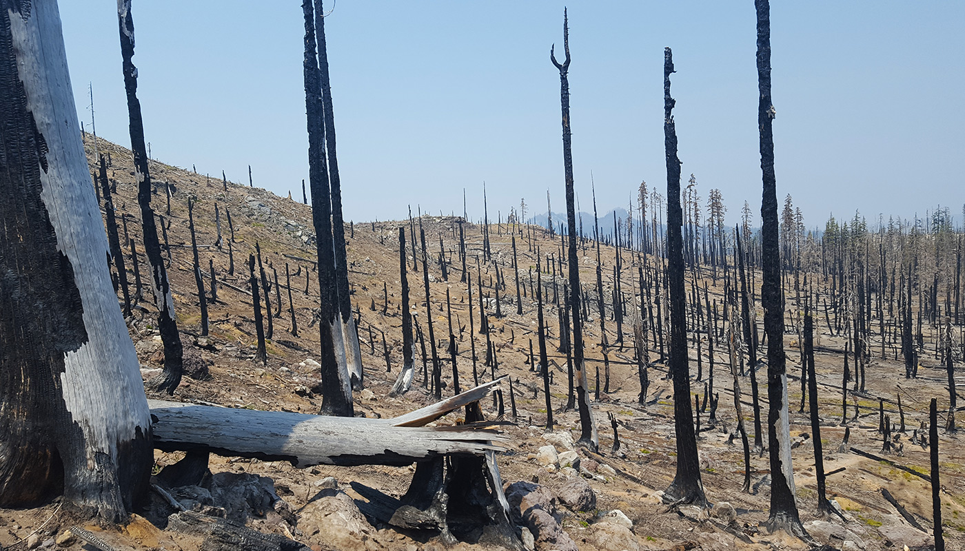 A l'approche de Crater Lake National Park, mi. 1805 - Désolation dans l'Oregon après les incendies de 2017.