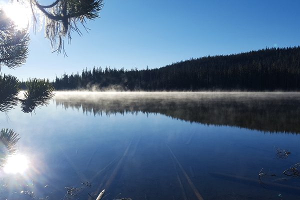 Mi. 1918, Oregon - Brume sur Bobby Lake au petit matin.