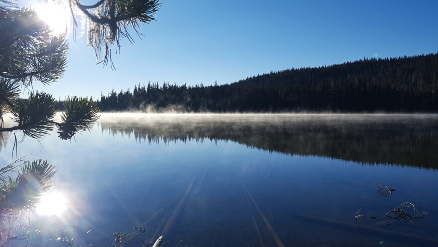 Mi. 1918, Oregon - Brume sur Bobby Lake au petit matin.
