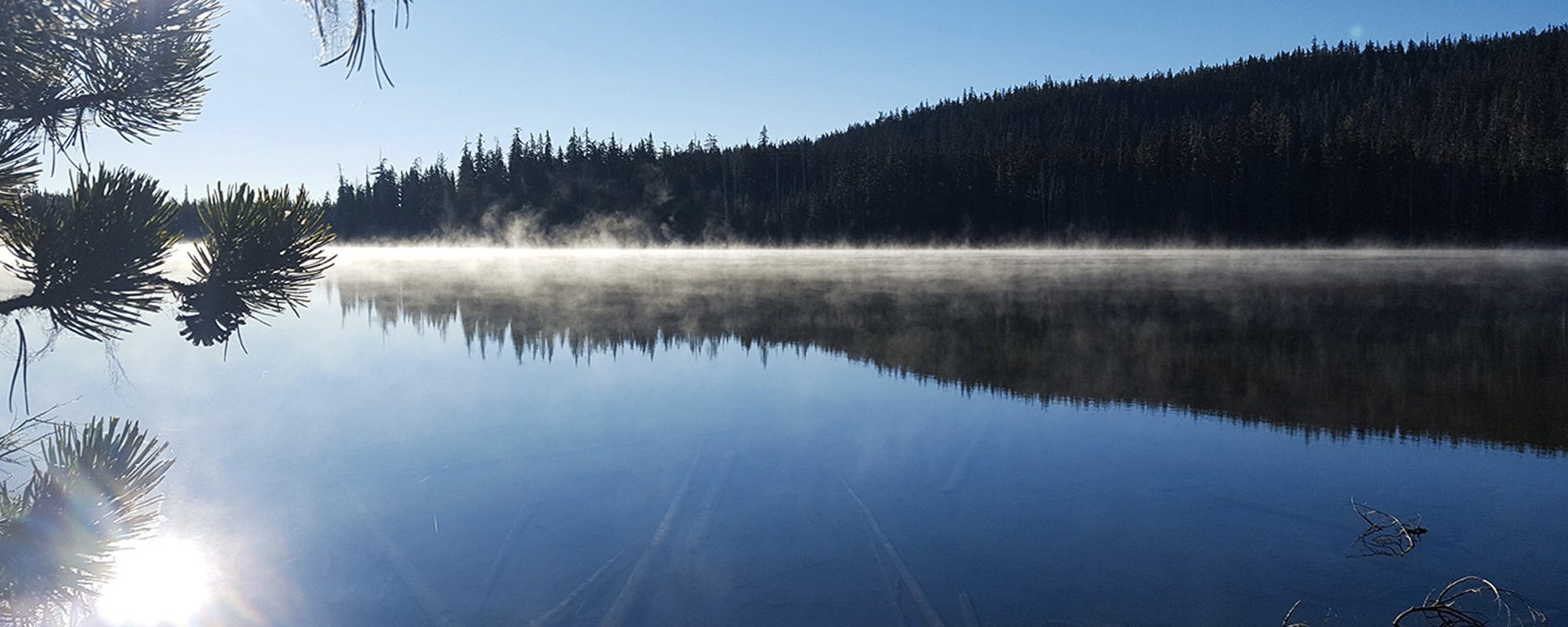 Tout savoir sur le Pacific Crest Trail - PCT