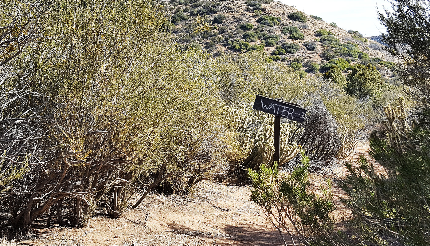 San Felipe Hills, mi. 91 - Dans le désert, l'eau est un souci permanent et tout indice qui aide à en trouver est précieux.