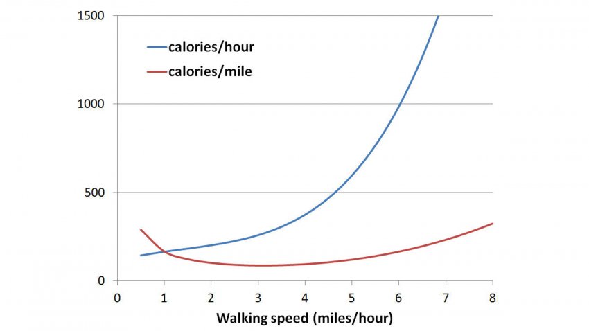 Vous pouvez désormais calculer combien de calories vous dépensez lors d'une randonnée.