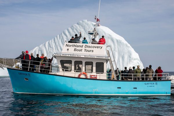 A St Anthony (Terre-Neuve-et-Labrador), ce bateau propose des balades de deux heures au milieu des icebergs qui fondent pour une quarantaine d’euros.