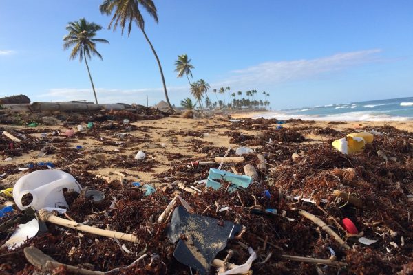 plage polluée par des déchets