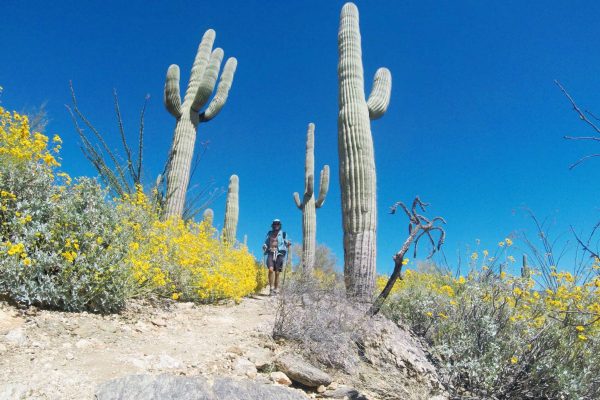 Jeff “Legend” Garmire sur l'Arizona Trail