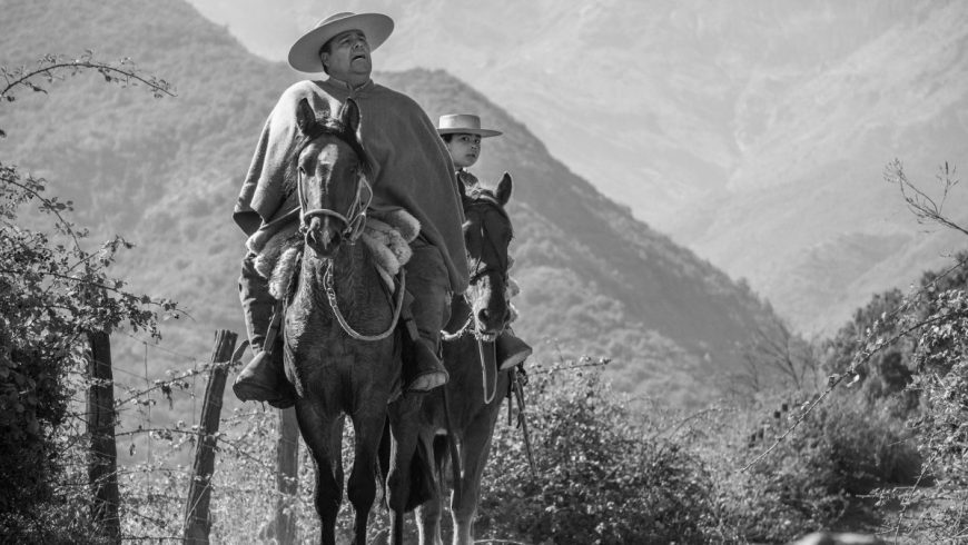Un arriero et son fils redescendent le bétail des pâturages, aux pieds de la cordillère des Andes.