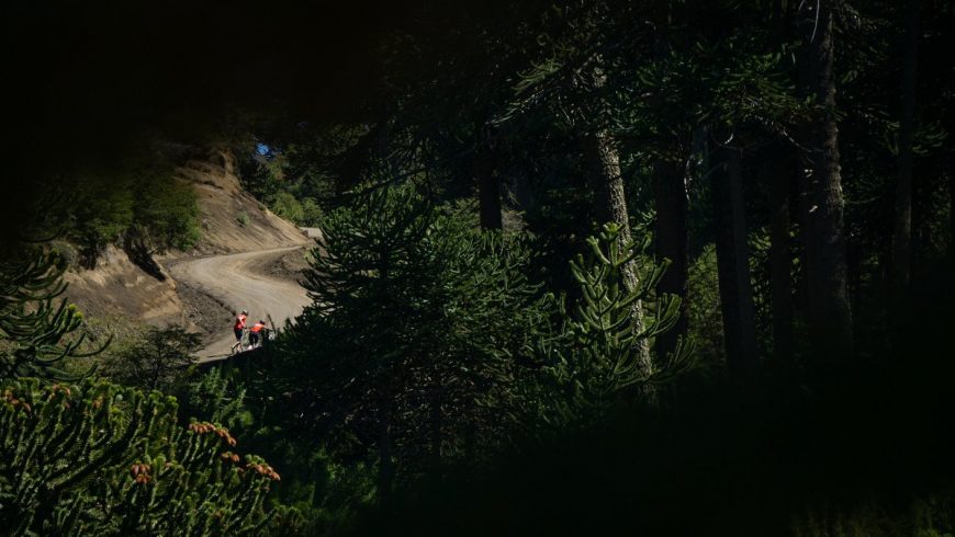Riders parmi les hêtres du Chili.