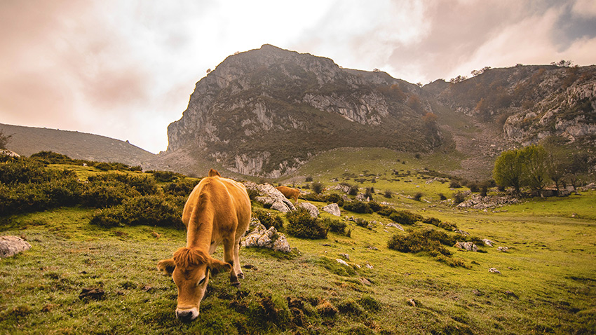 Asturies, Espagne