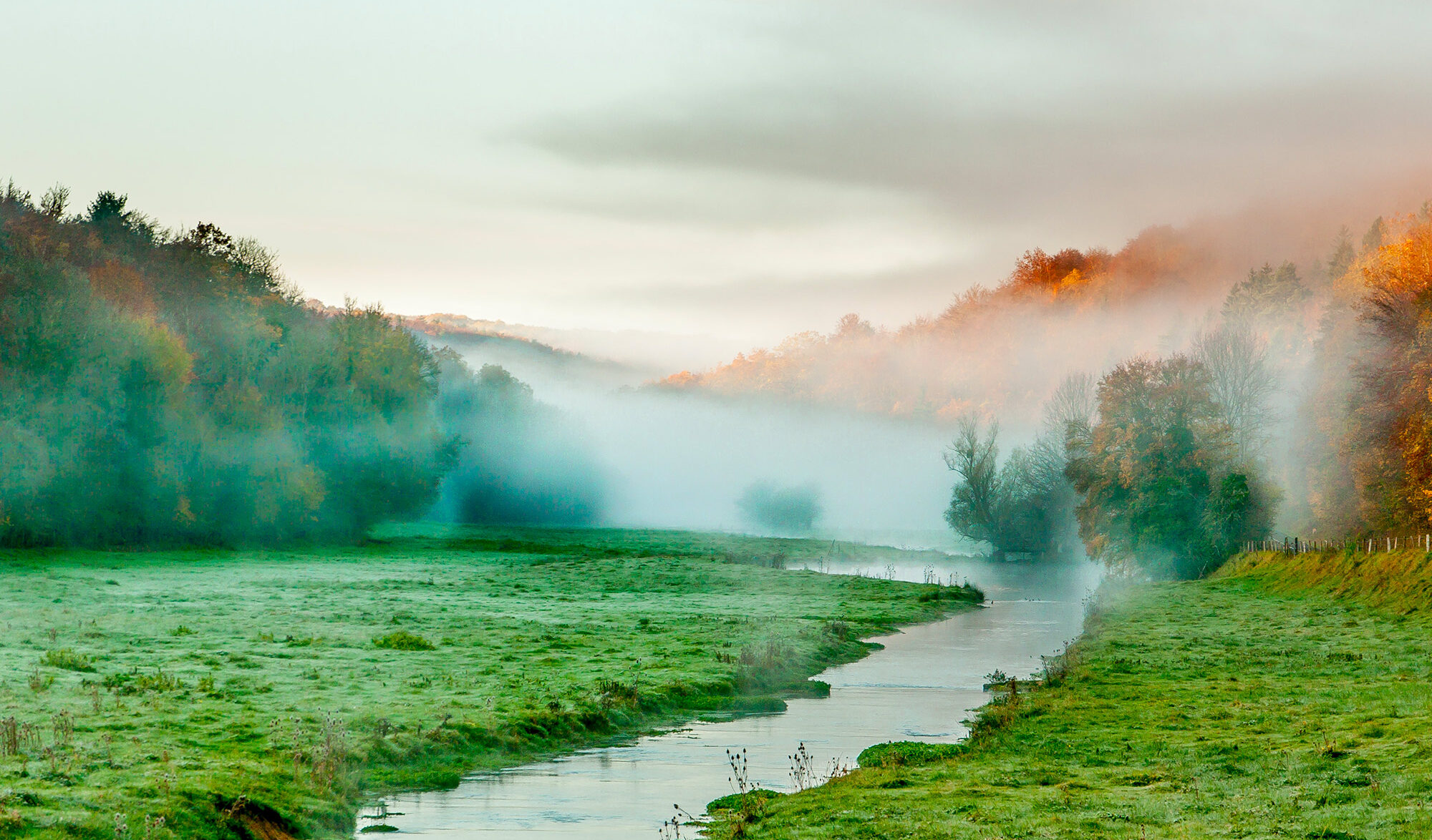 Parc National de forêt en Champagne et Bourgogne