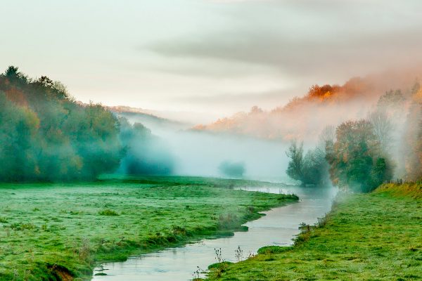 Parc National de forêt en Champagne et Bourgogne