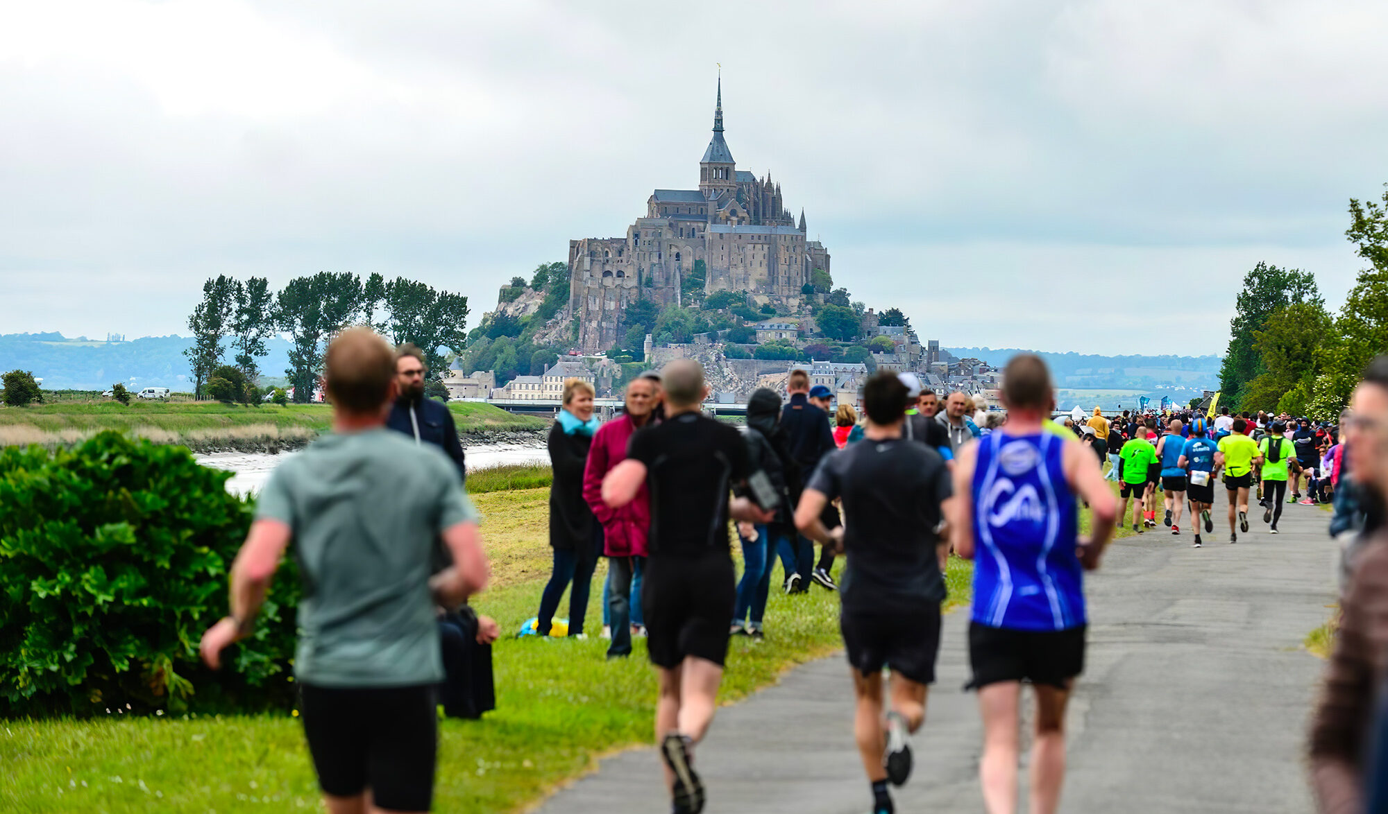 Vue sur le Mont Saint Michel depuis la côte
