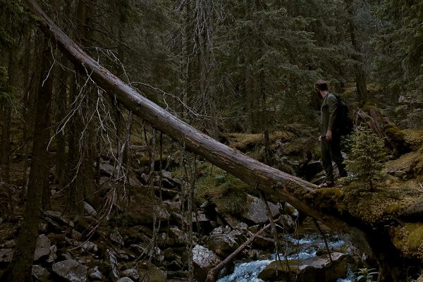 Un homme dans la forêt