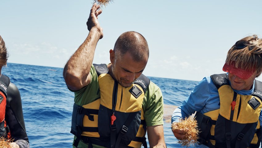 Vortex de déchets de l'Atlantique nord
