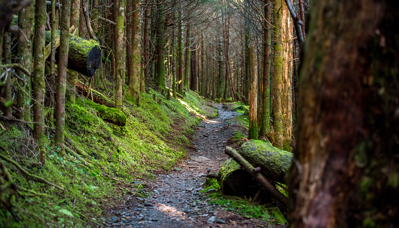 Appalachian Trail