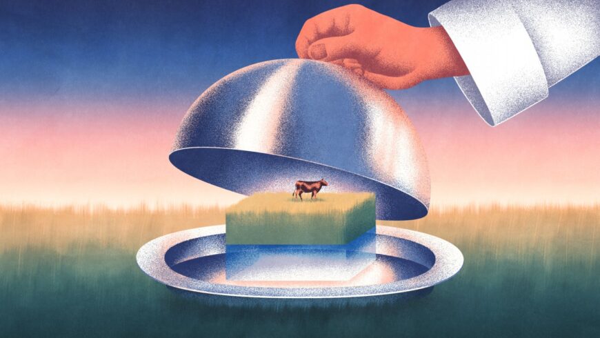 viande alternative
