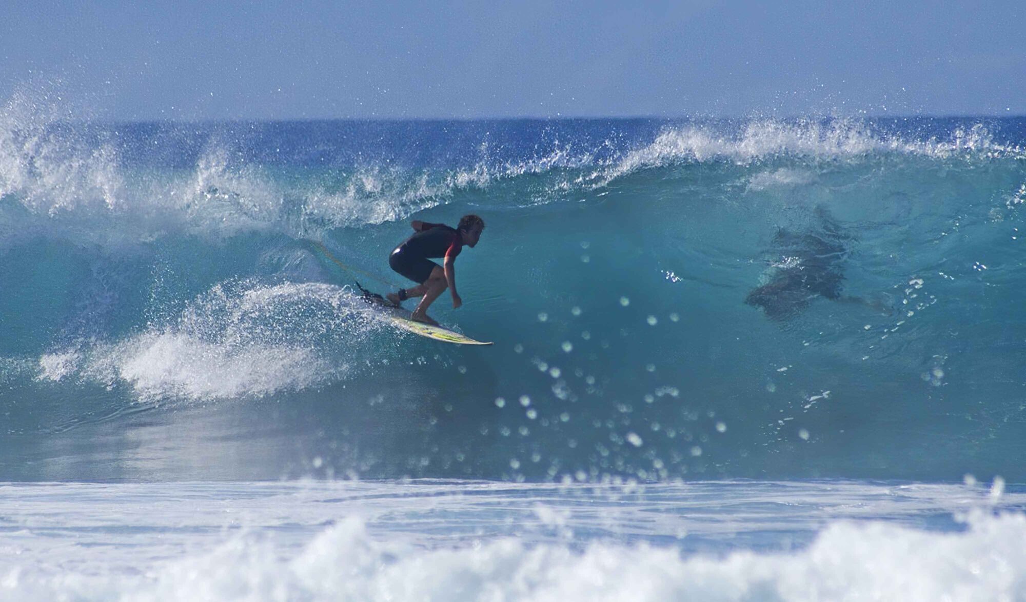 Surfeurs et humains, une relation pacifique.