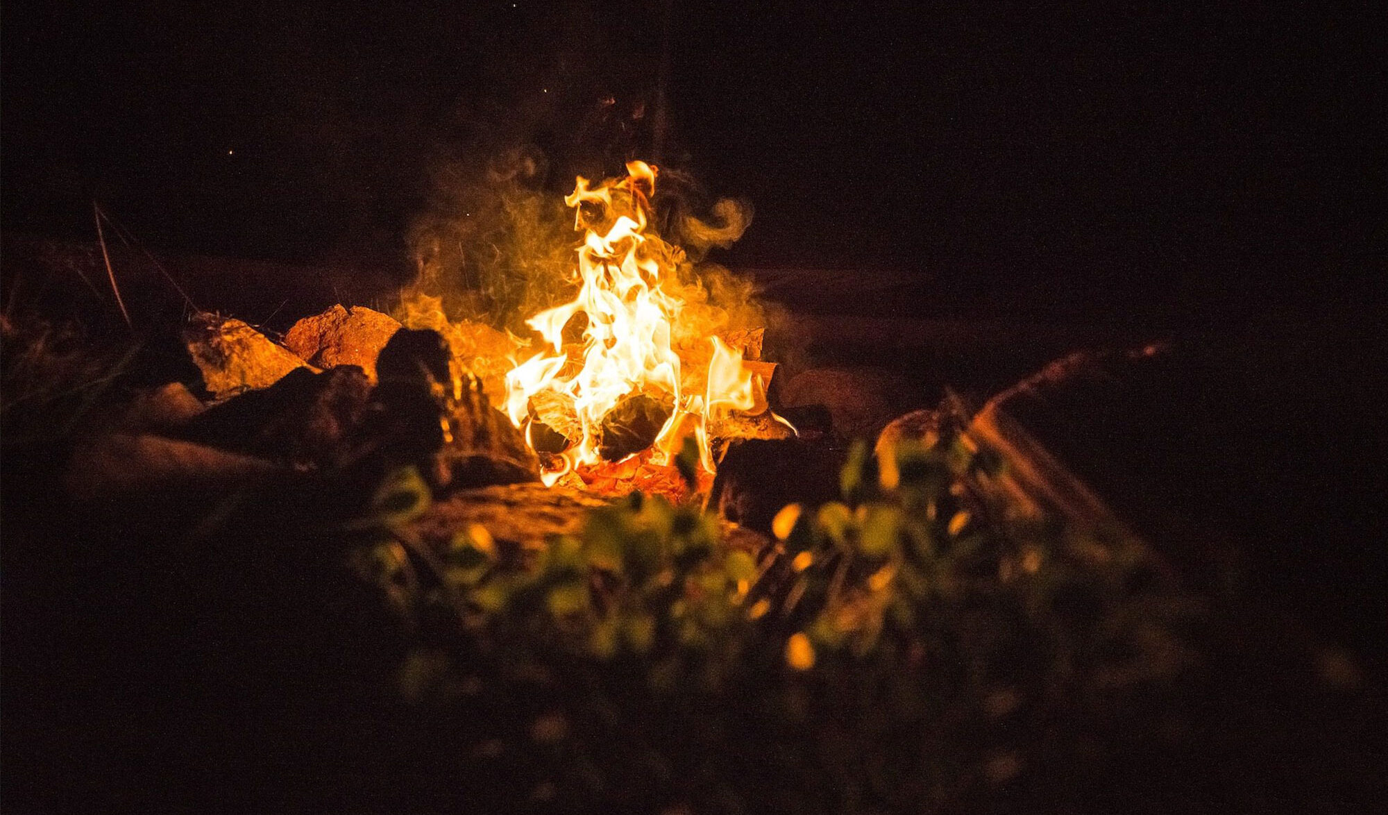 feu de bois