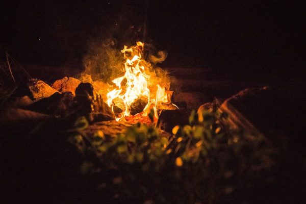 feu de bois