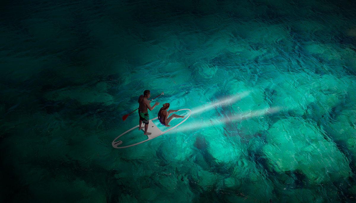 Paddle transparent