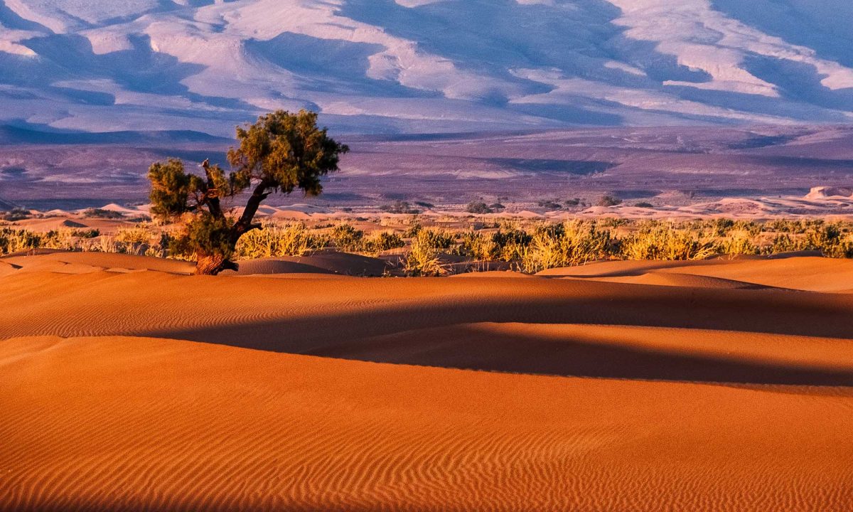 Tamnougalt, Maroc