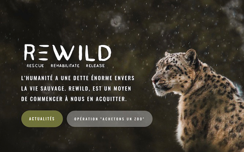 Rewild