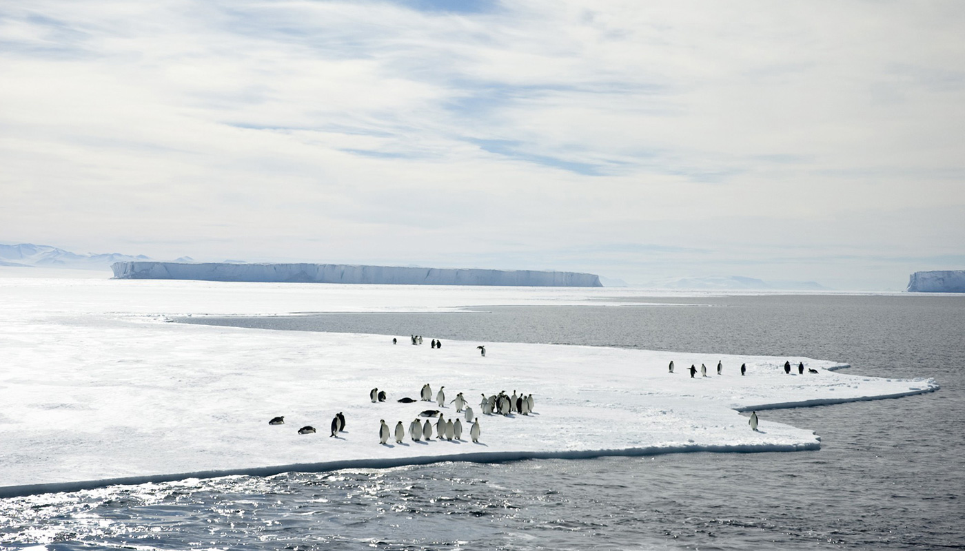 antarctique