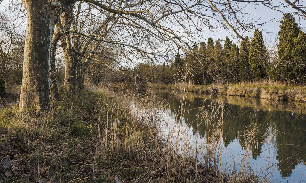 Canal du Midi