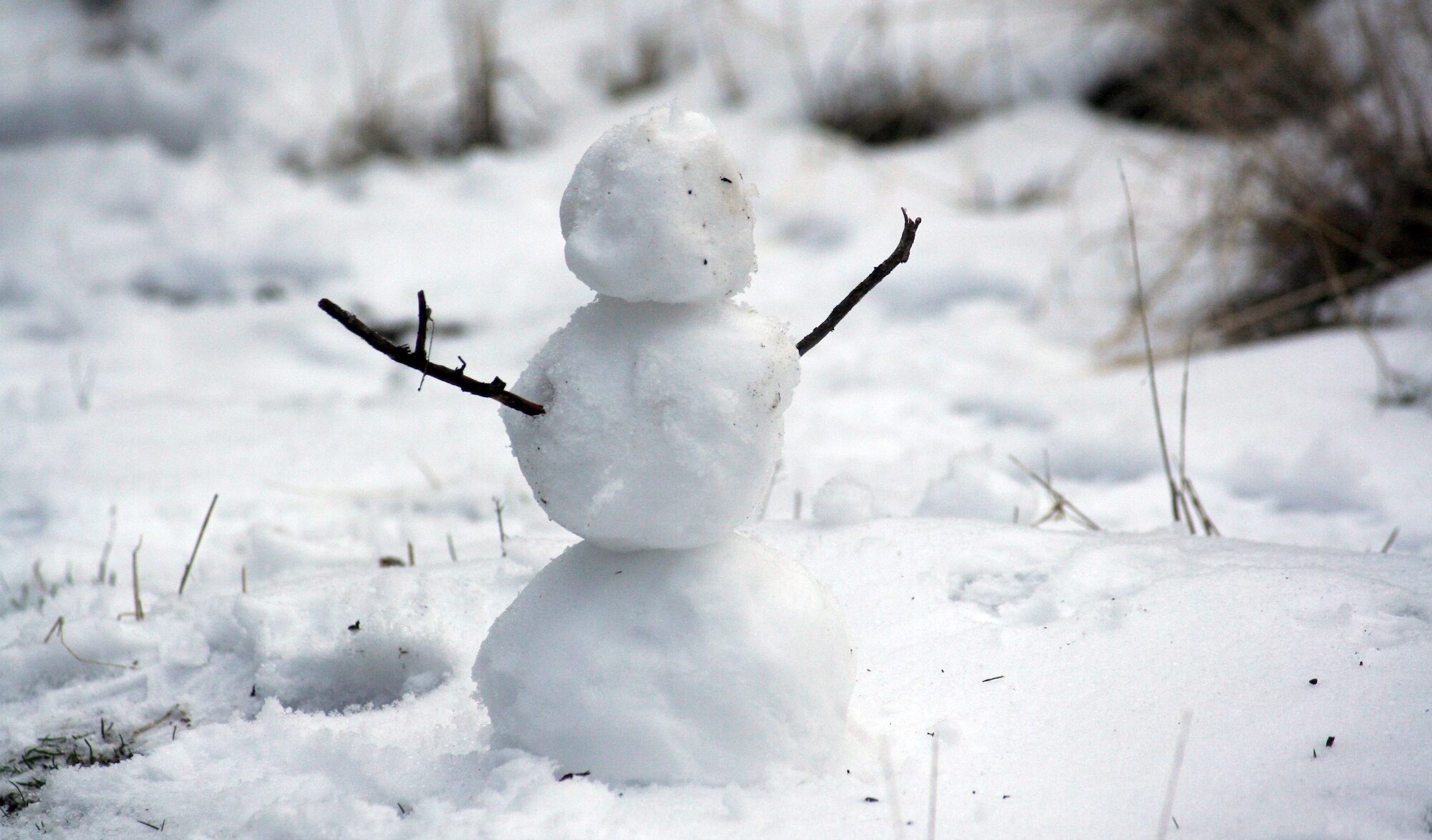 Bonhomme de neige Photo par Nathan Wolfe/Unsplash