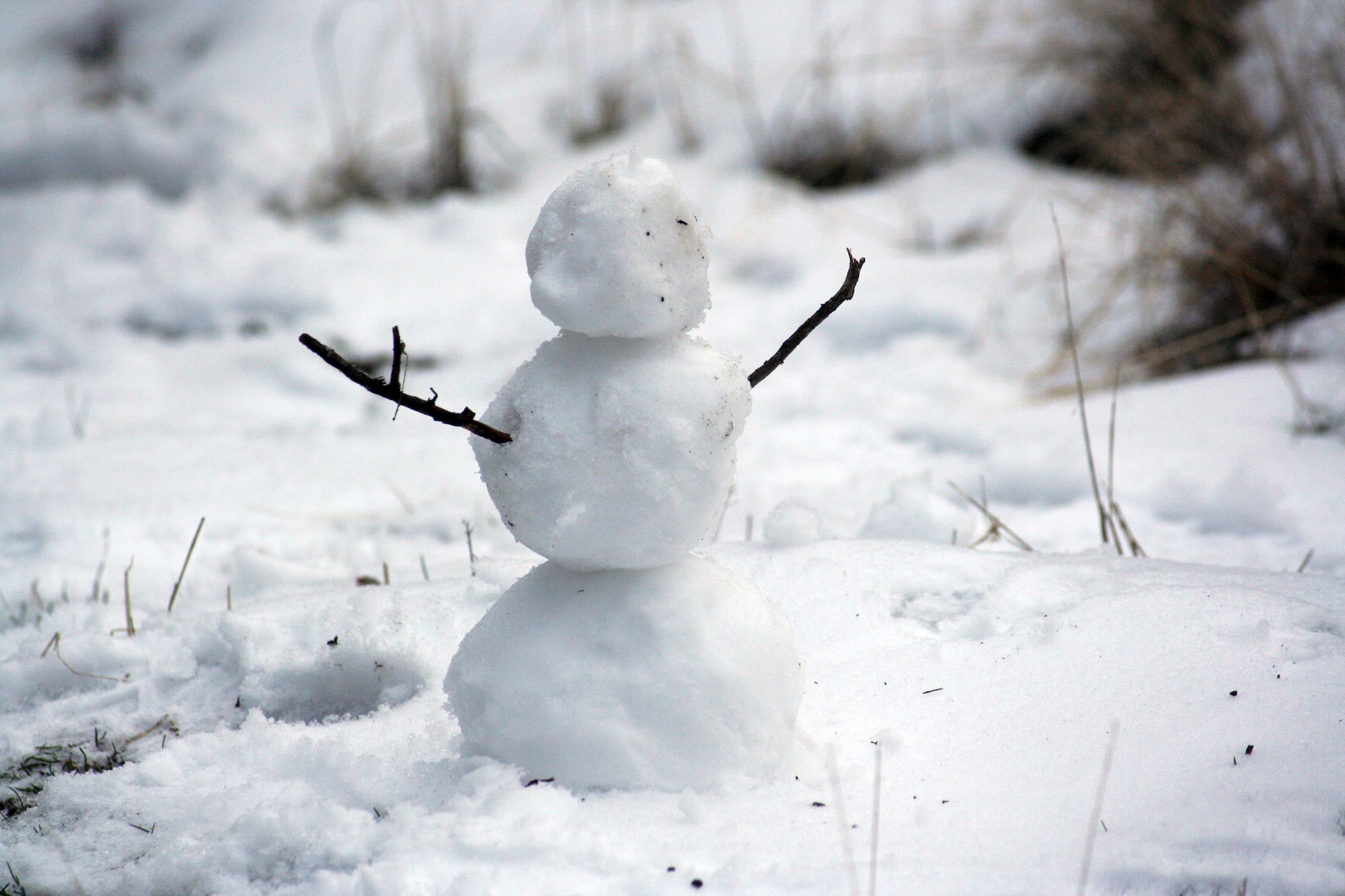 Bonhomme de neige Photo par Nathan Wolfe/Unsplash