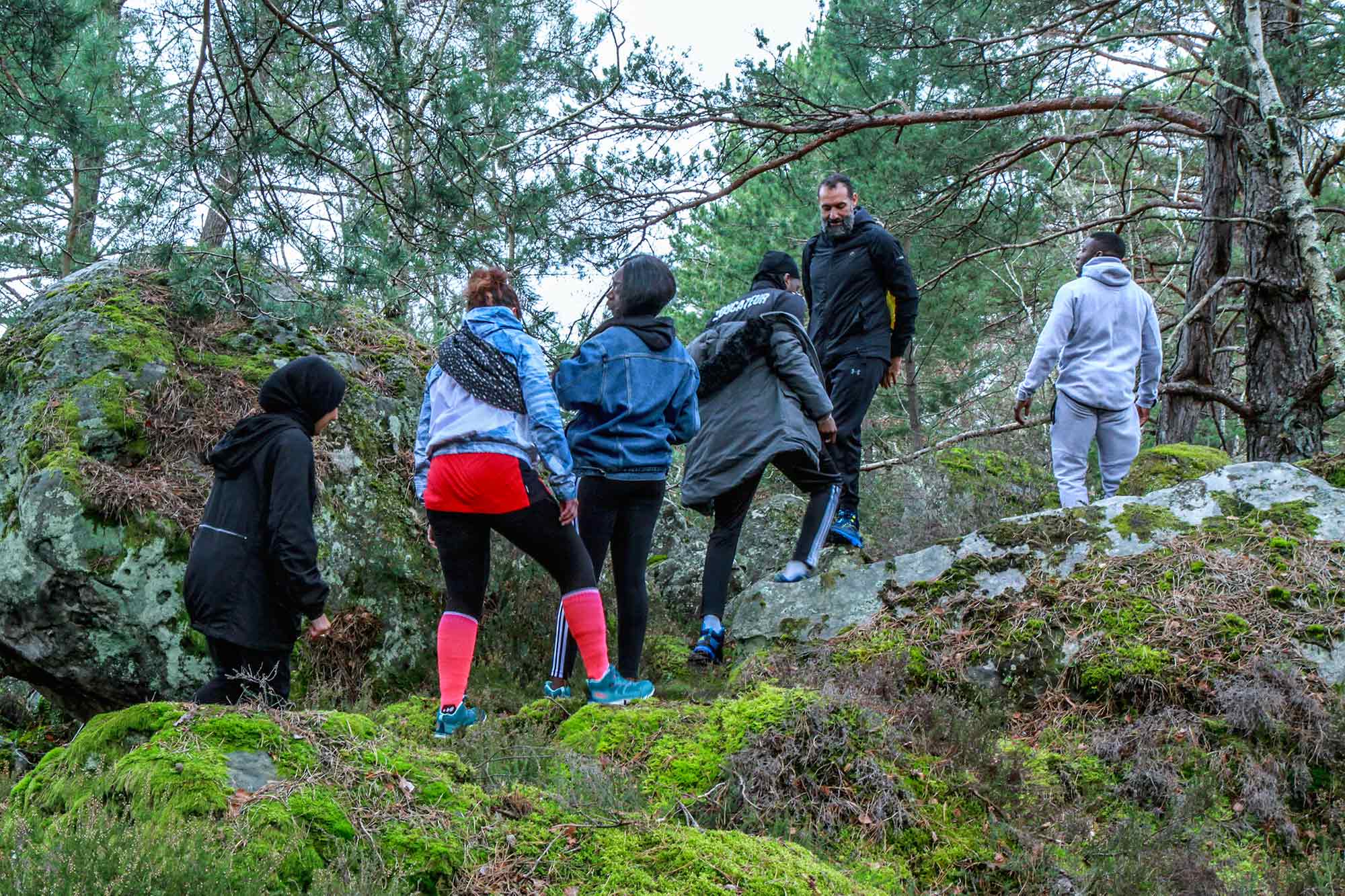 Les jeunes de l'association APART dans la forêt de Fontainebleau